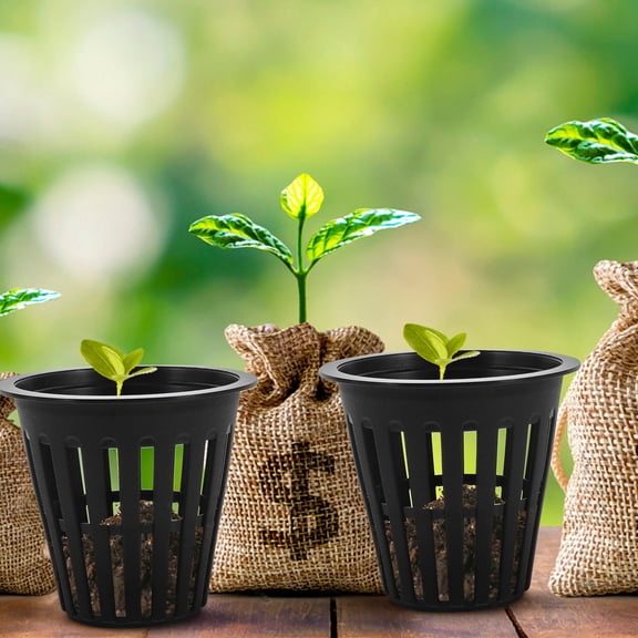 LOLIPPYY 20Pcs Hydroponic Net Cup Aquatic Net Cups PP Plastic White for Hydroponics