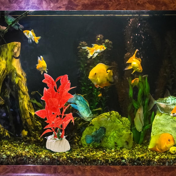 LOLIPPYY 20Pcs Lifelike Red Fish Tank Plant Decor Aquarium Accessories with Thick Base for Hiding