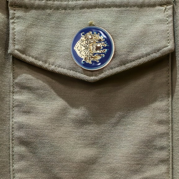 LOLIPPYY 20Pcs Small Vintage Blue Metal Buttons Decorative Buttons for Uniform Suit