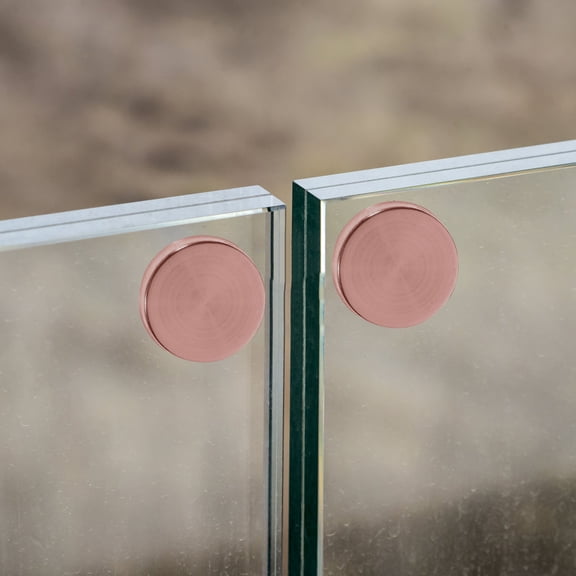 LOLIPPYY 20pcs Rose Gold Stainless Steel Decorative Screw Caps for Mirrors and Signs Heavy Duty Indoor Outdoor Use