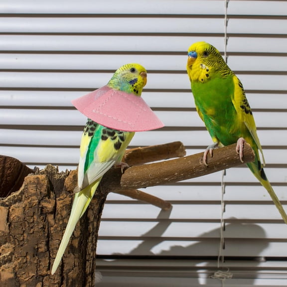 LOLIPPYY 2Pcs Black Parrot Neckband Protective Collar Ring for Birds Anti Biting Neck Protector