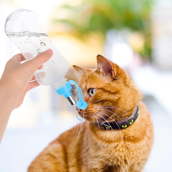 LOLIPPYY 2Pcs Dog Water Bottle Plastic for Outdoor Travel with Prevent Leaking