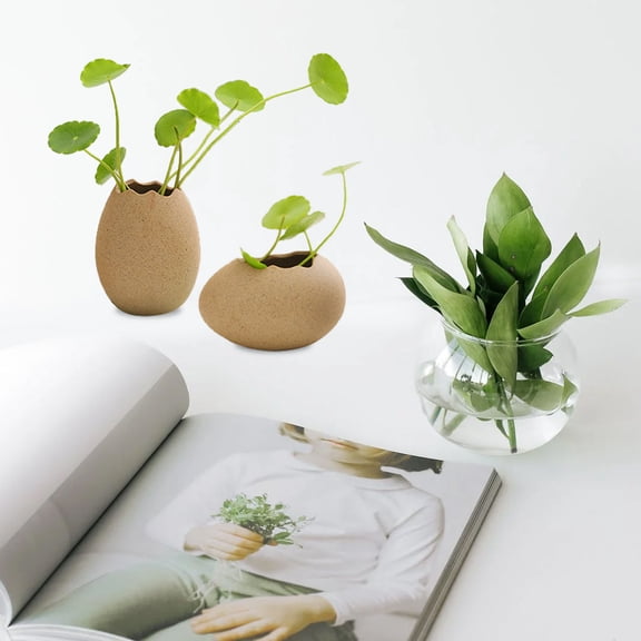 LOLIPPYY 2Pcs Hydroponics Supplies Multi Ceramic Egg Shell Shaped Vase for Home Decoration