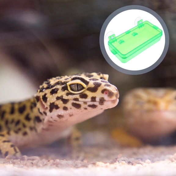 LOLIPPYY 2Pcs Escape Proof Suction Cup Reptile Food Bowls Green Anti Deformation Cage Feeders