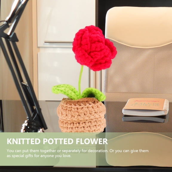 LOLIPPYY 2Pcs Handcrafted Crochet Plants Assorted Color Desktop Decor for Living Room and Office