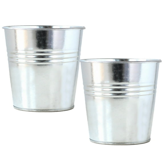 LOLIPPYY 2Pcs Metal Flower Buckets Silver Iron Round Flower Planter for Garden Ornament Indoor Use
