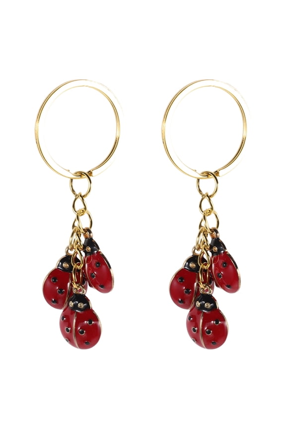 2Pcs Metal Ladybug Keychains for Bag Purse with Cute Insect Charm Design