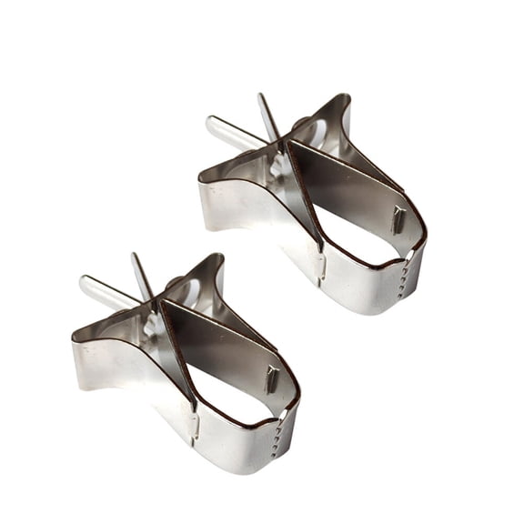 LOLIPPYY 2Pcs Parrot Fruit Feeder Birds Food Holder Copper Plated Silver Quiet Feeding