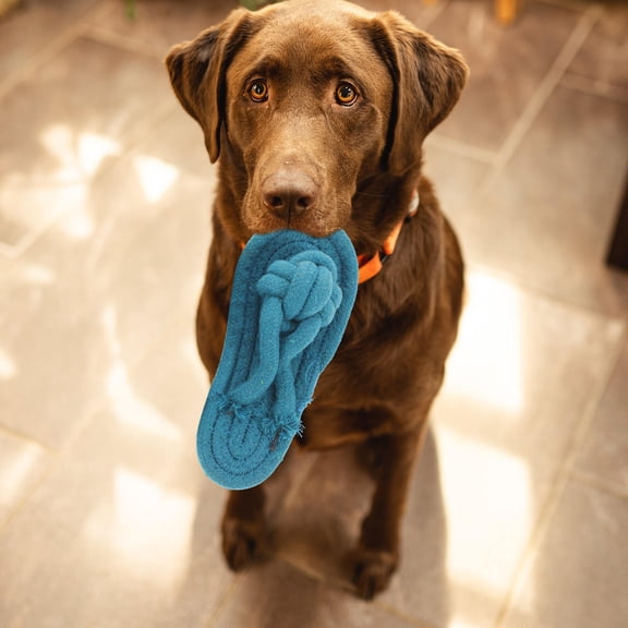 LOLIPPYY 2Pcs Pet Chew Toy in Yellow for Interactive and Bite Resistant Play