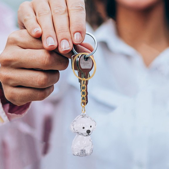 LOLIPPYY 2-Pack Transparent Dog Memorial Keychain for Pet Hair with Compact Protective Design Keepsake