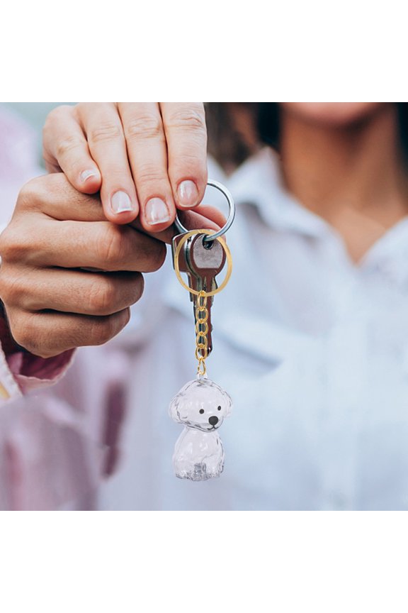 2-Pack Transparent Dog Memorial Keychain for Pet Hair with Compact Protective Design Keepsake