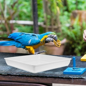 Bird Bath Replacement Bowl