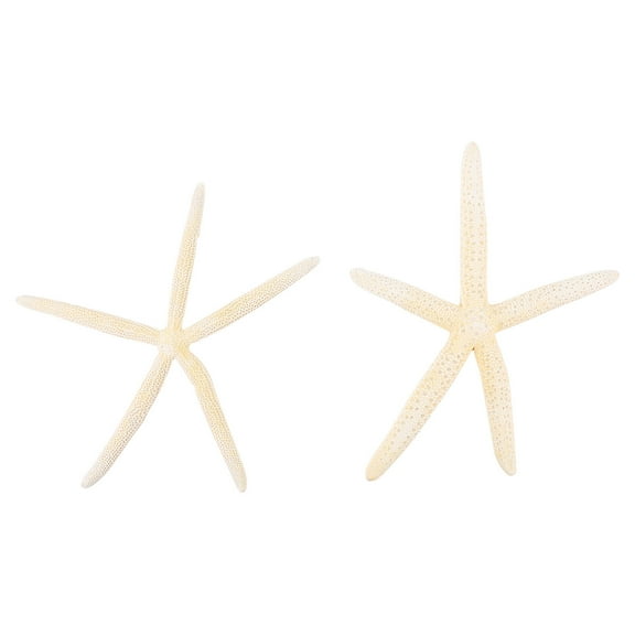 LOLIPPYY 2Pcs White Beach Sea Star Natural Ornament for Wedding Craft Decoration
