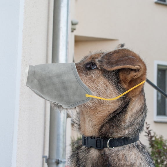 LOLIPPYY 2pcs Adjustable Dog Mouth Cover Non-woven Fabrics Anti-bite Outdoor