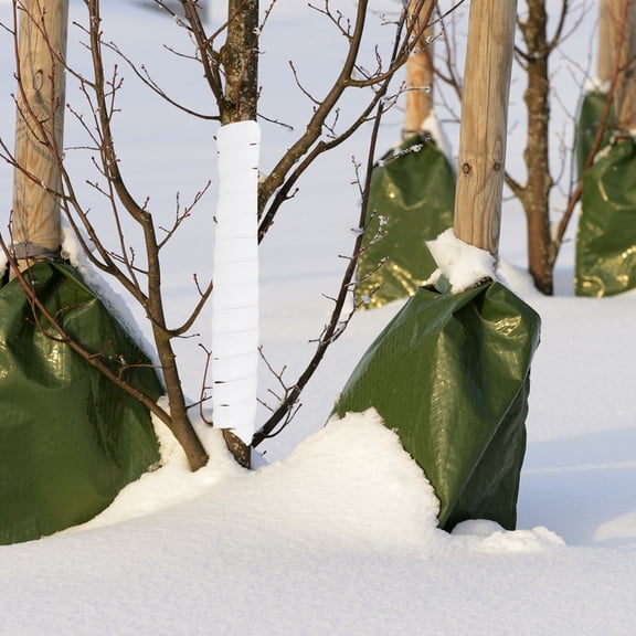 LOLIPPYY 2pcs Tree Bark Protection Wrap Durable Tree Trunk Guard for Squirrels Easy to Install for Home Farm and Park Use