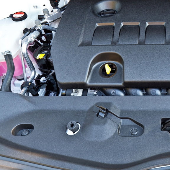 LOLIPPYY 300Pcs Auto Door Trim Panel Fastener Clips for Car Owners and Auto Mechanics