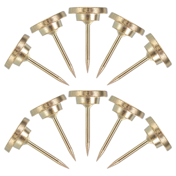 LOLIPPYY 30pcs Wall Tacks For Hanging Pictures Zinc Alloy Thumb Tacks For Adults Use