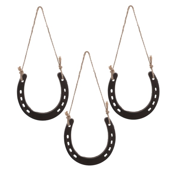 LOLIPPYY 3Pcs Brown Cast Iron Horseshoe Rustic Wall Hanging for Western Party Decoration
