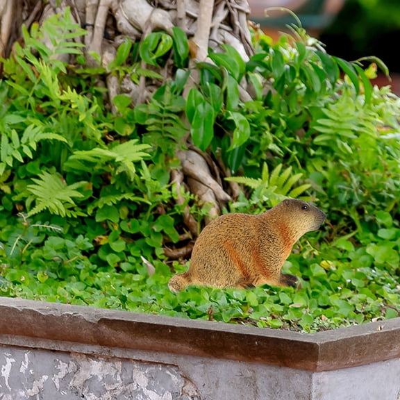 LOLIPPYY 3Pcs Lifelike Groundhog Figurines Assorted Color for Realistic Wildlife Simulation Decor