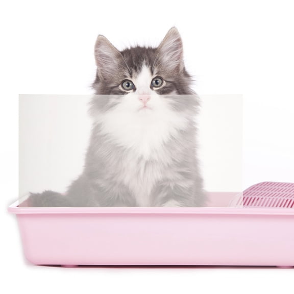 LOLIPPYY 3Pcs Lightweight Acrylic Cat Litter Box Splash Guard Enclosure with Breathable Top