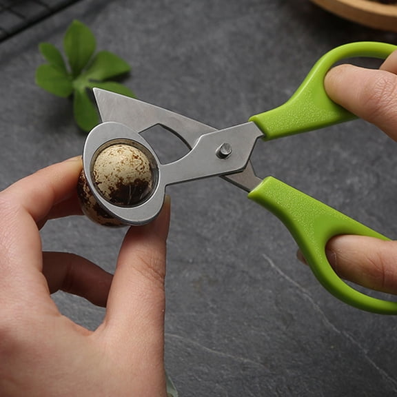 LOLIPPYY 3Pcs Portable Quail Egg Scissors Green with Anti Slip Handle for Kitchen Accessories