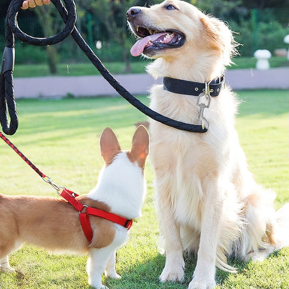 LOLIPPYY 3Pcs Zinc Alloy Swivel Snap Hooks for Dog Leash Heavy Duty Metal Clasp Safety Clips