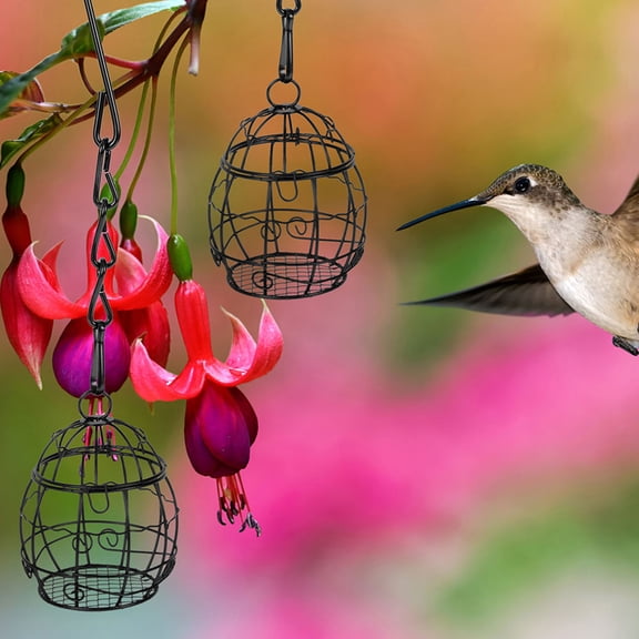 LOLIPPYY 4Pcs Black Metal Hanging Bird Feeders Outdoor Multi Functional Design Easy to Clean