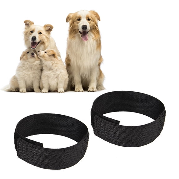 LOLIPPYY 4Pcs Nylon Rooster Collar Black Anti Crow Pet Collar Effective Noise Reduction