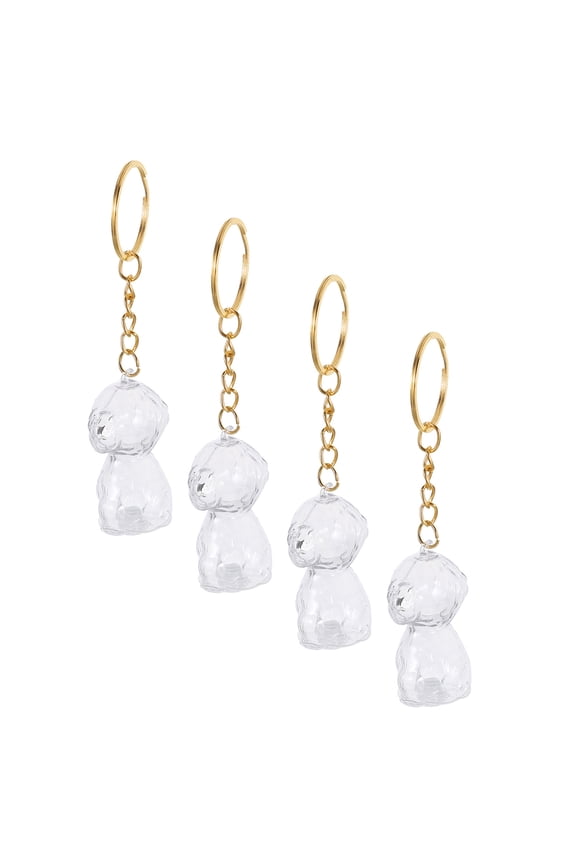4-Pack Portable Dog Hair Memorial Keychains with Clear ABS Keepsake Boxes for Cherishing Pet Loss Memories