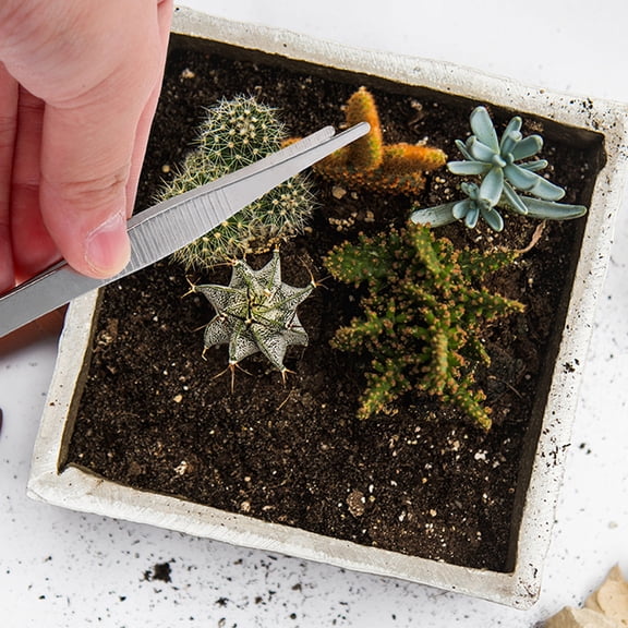 LOLIPPYY 4Pcs Stainless Steel Planting Tweezers Compact and Reliable Garden Tool for Succulent Plants