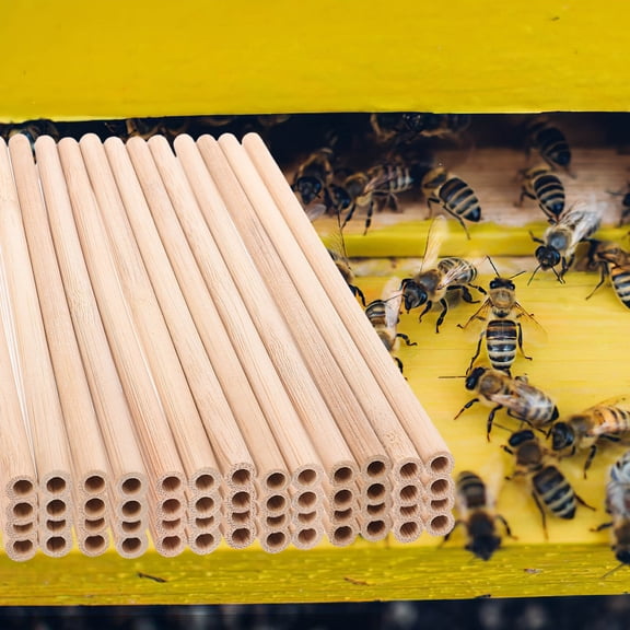 LOLIPPYY 50Pcs Compact Bamboo Replacement Bee Tubes for Beekeepers Outdoor Nesting Tubes