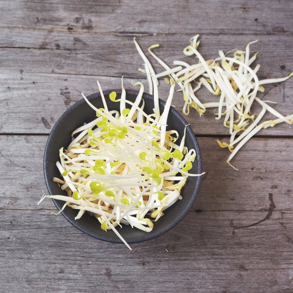 LOLIPPYY 50Pcs Lifelike Bean Sprout Decor for Photography and Film Props Multi Color