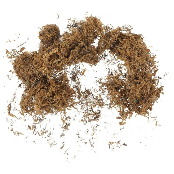 LOLIPPYY Set of 5 Artificial Moss Plants for Decoration, Brown, 6.7x5.1x1.6in, Plastic Background Landscape Ornaments