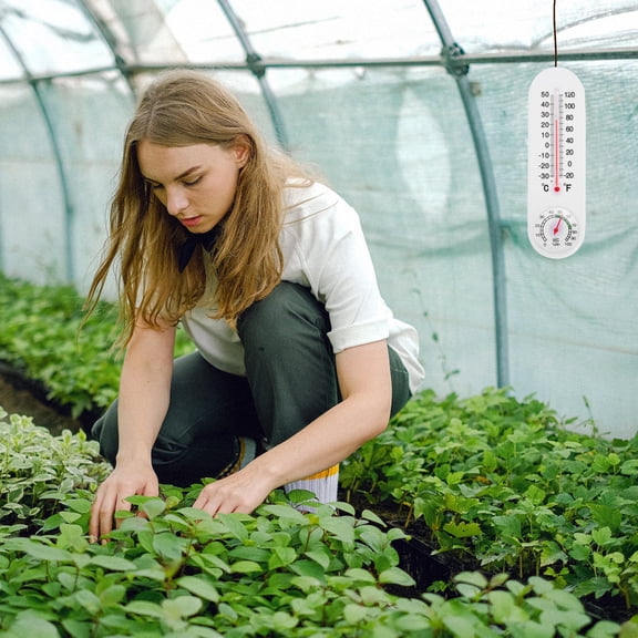 LOLIPPYY 5Pcs Garden Thermometer White Digital Max Min for Greenhouse and Outdoor Use