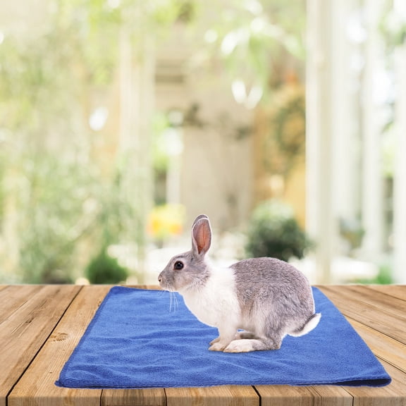LOLIPPYY 5Pcs Reusable Guinea Pig Blanket Blue Easy to Clean Soft Bedding for Small Pets