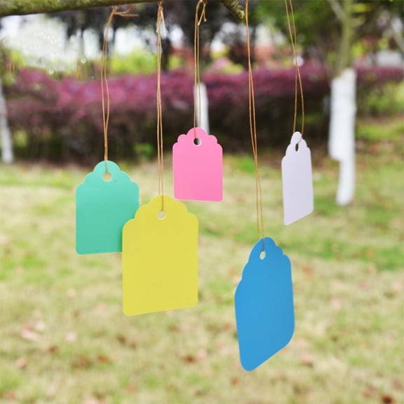LOLIPPYY 5 Sets Plastic Gardening Labels with Straps, Assorted Colors Hanging Plant Tags for Outdoor Use