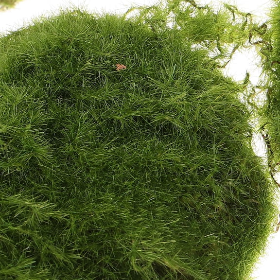LOLIPPYY 6-Pack Artificial Moss Rocks for Landscaping, Simulated Moss Decor for Outdoor Garden and Yard Enhancement