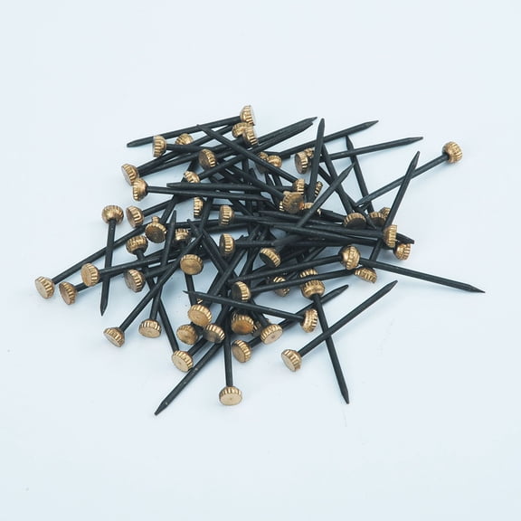 LOLIPPYY 60Pcs Photo Hanging Hook Pin in Black Copper Head for Easy Installation on Walls