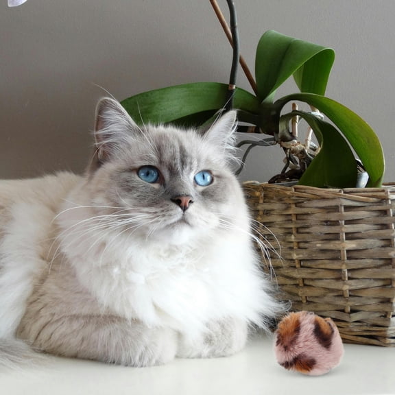 LOLIPPYY 6Pcs Kitten Play Chasing Toy Cat Playing Teaser Round Balls for Indoor Cats