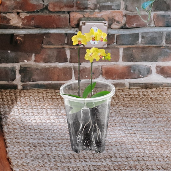 LOLIPPYY 6Pcs Plastic Orchid Planters with Breathable Design and Clear Material for Home Use