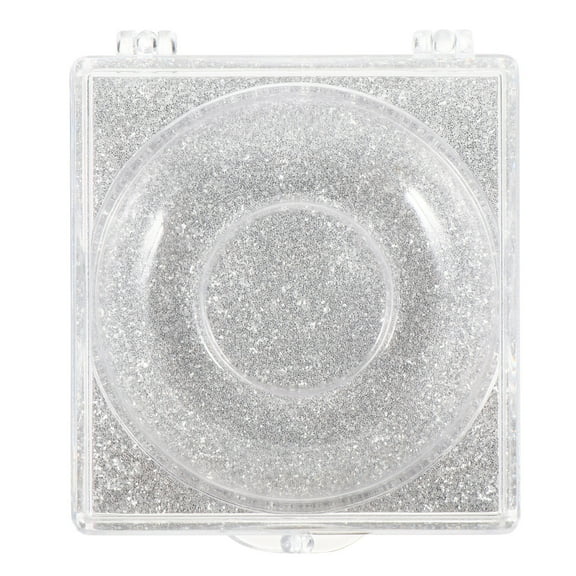 LOLIPPYY 6Pcs Plated Silver False Eyelash Organizer Plastic Lash Case with Shiny Base Cards for Easy Identification
