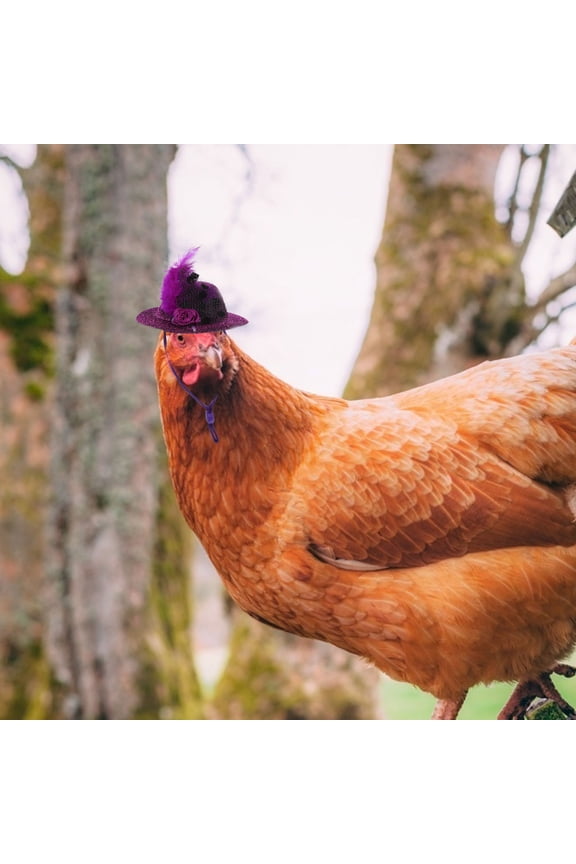 6Pcs Portable Adjustable Chicken Hats Cloth Hen Hats Funny Bird Decor