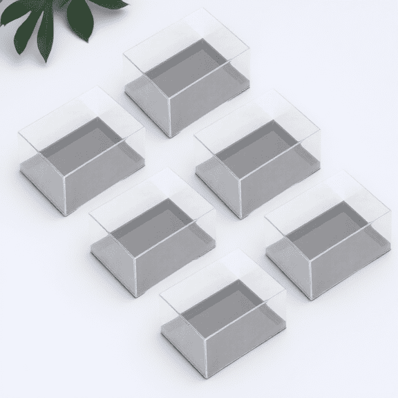 LOLIPPYY Specimen Display Case Assorted Color Durable Plastic Storage Box