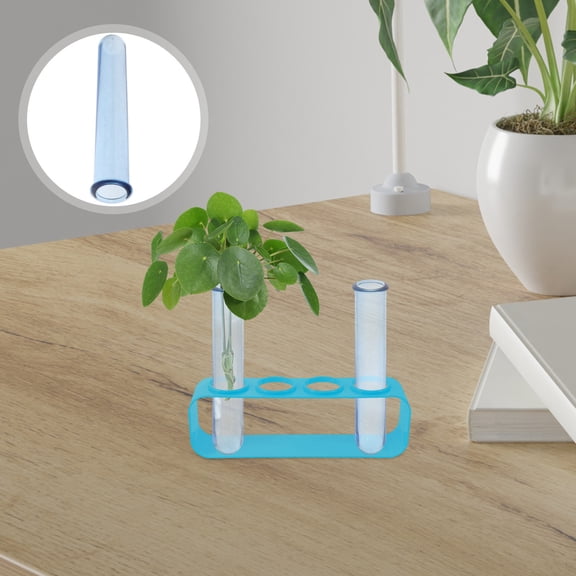 LOLIPPYY 6pcs Clear Test Tubes for Flowers in Home Office for Simple Design Decoration