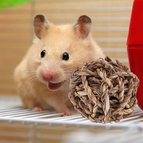 LOLIPPYY 8-Piece Small Animal Chew Toys for Exercise and Health Made from Natural Peeled Willow