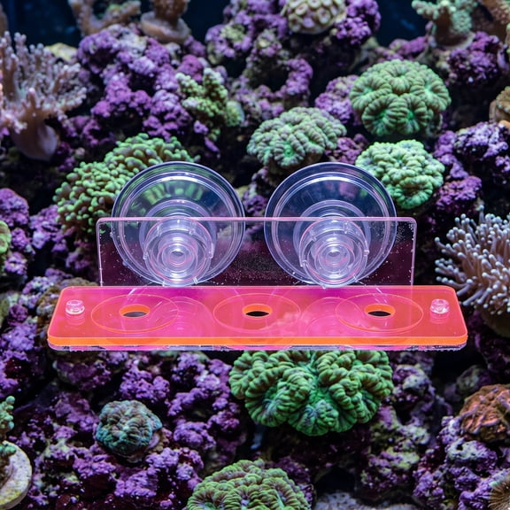 LOLIPPYY Acrylic Coral Breeding Holder with Suction Cup for Reef Tank Aquascaping and Marine Aquarium Decor Red