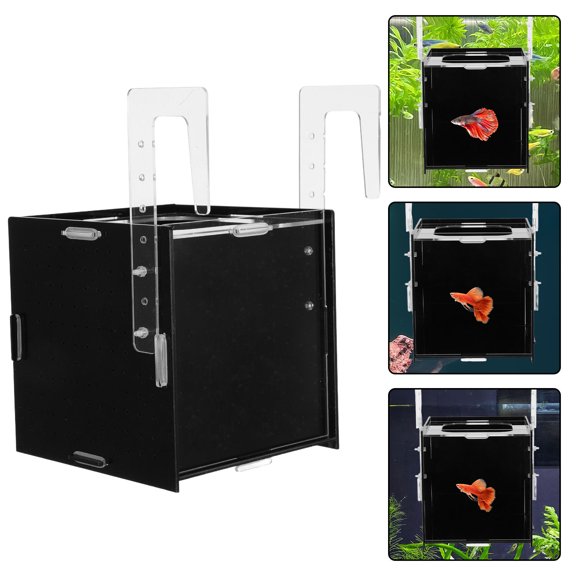LOLIPPYY Acrylic Fish Incubator Box for Aquarium Breeding and Isolation with Clear Visibility Black