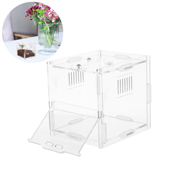 LOLIPPYY Acrylic Transparent Small Reptile and Spider Enclosure for Outdoor Study Projects