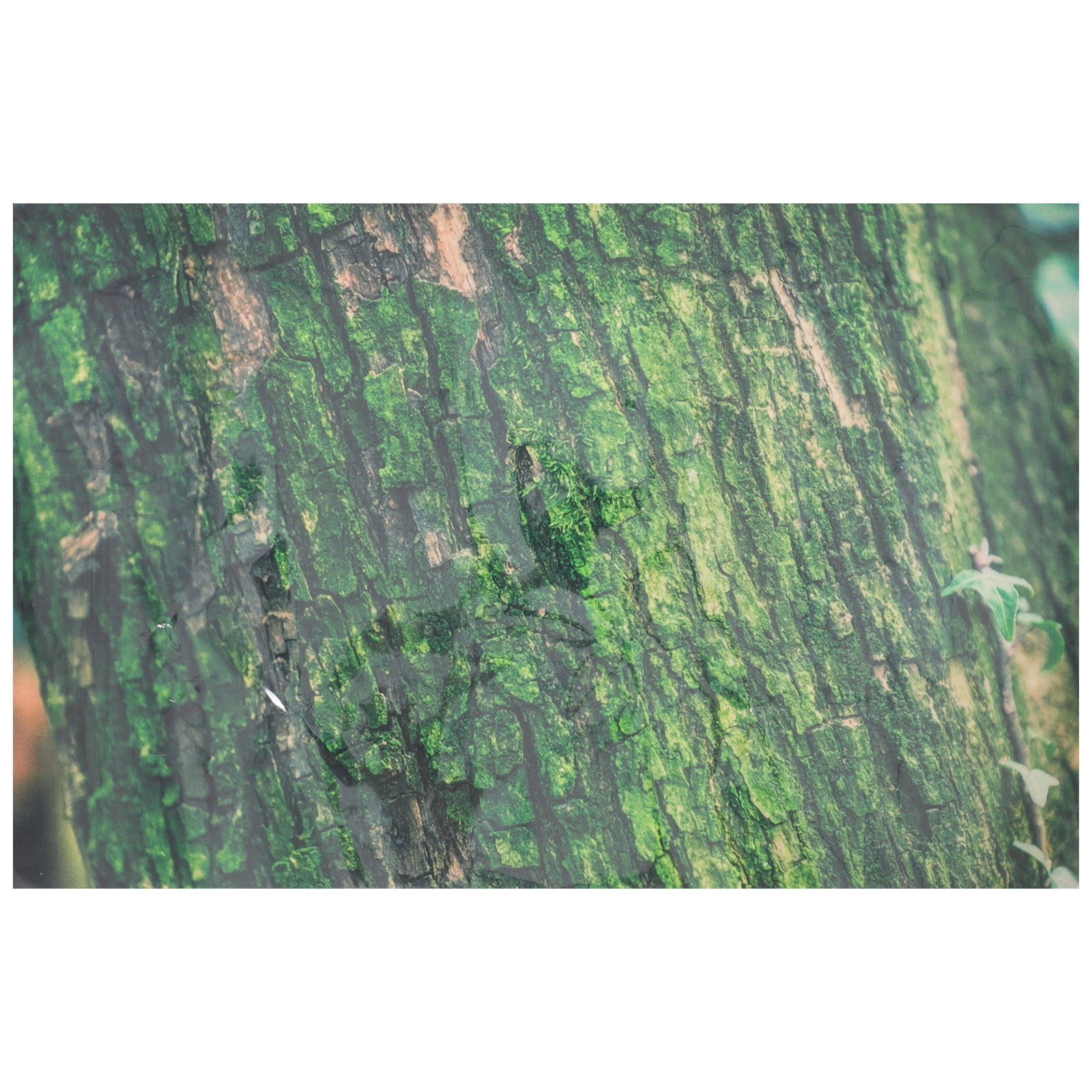 Tree Bark Fish LOLIPPYY Aquarium Background Sticker Tree Bark Pattern Fish Tank ...