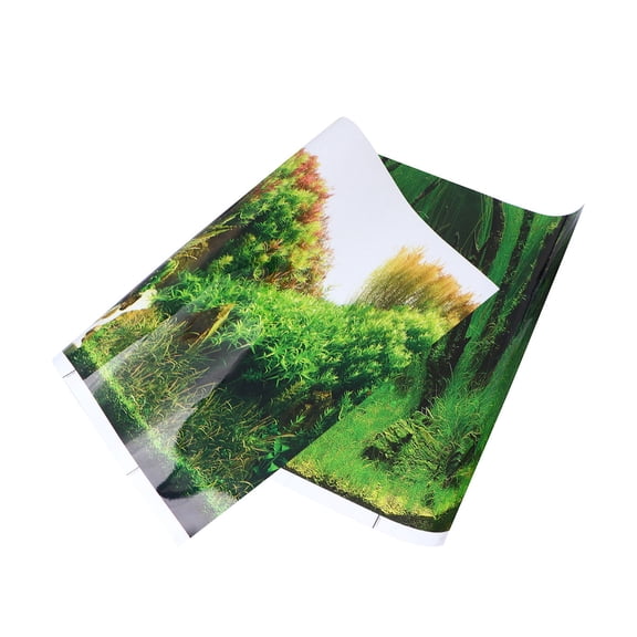 LOLIPPYY Aquarium Decor Background 1Pcs Green PET Durable and Easy to Attach for Fish Tank